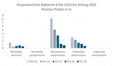 RespBakterien 2024 2025