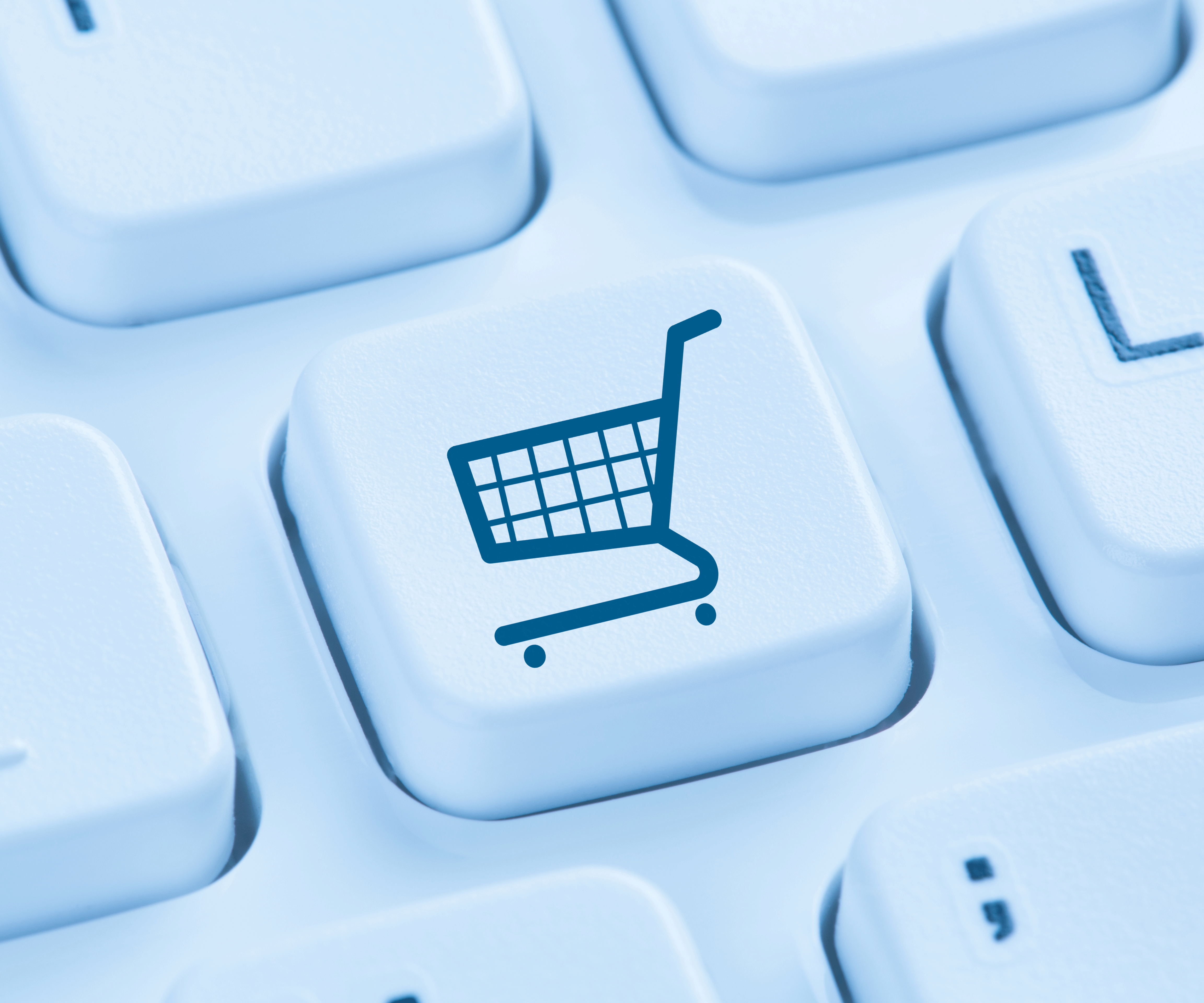 Adobestock 130039000 Webshop 300X20