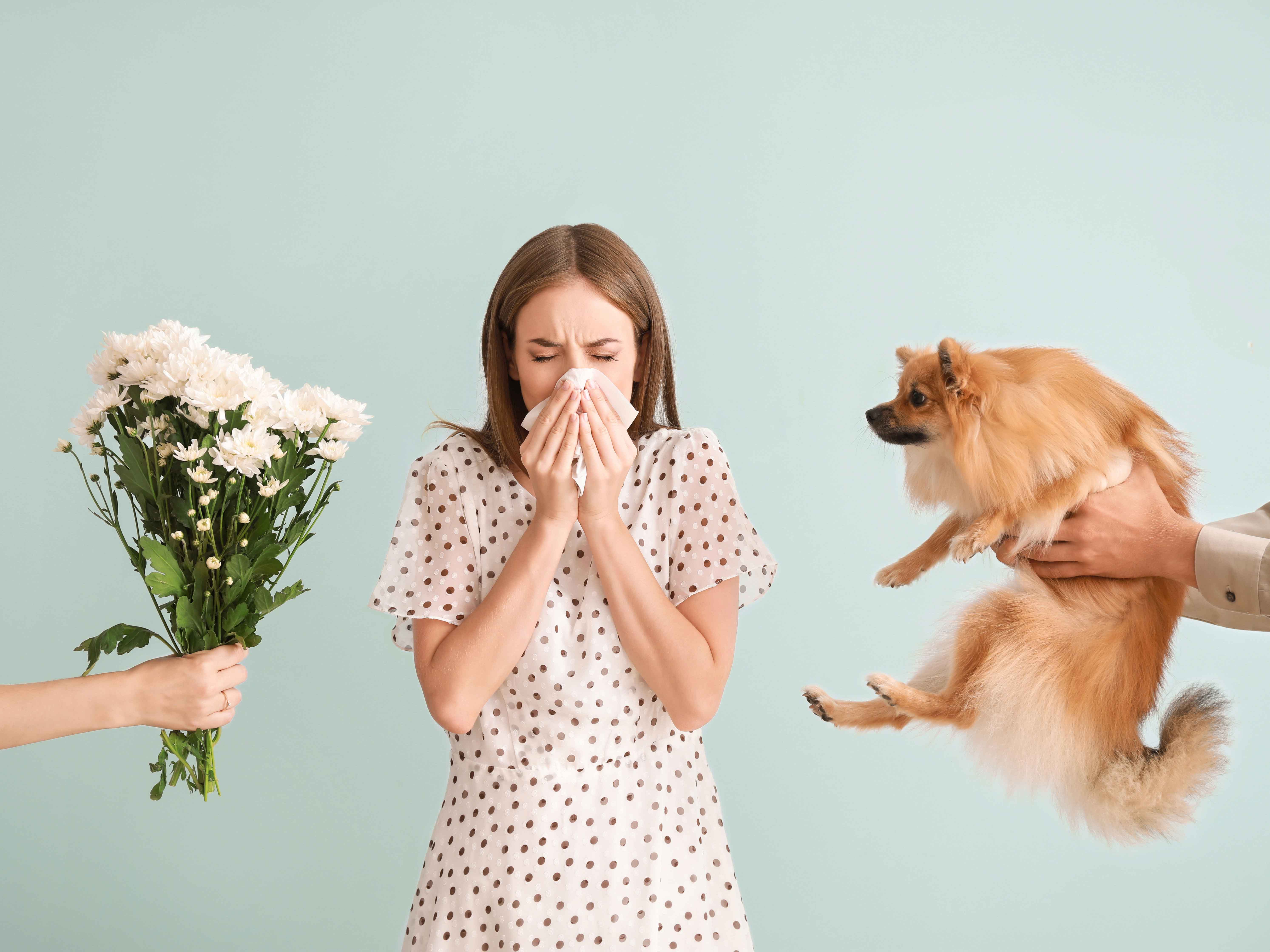 Adobestock 300511792 Allergologie 600X450