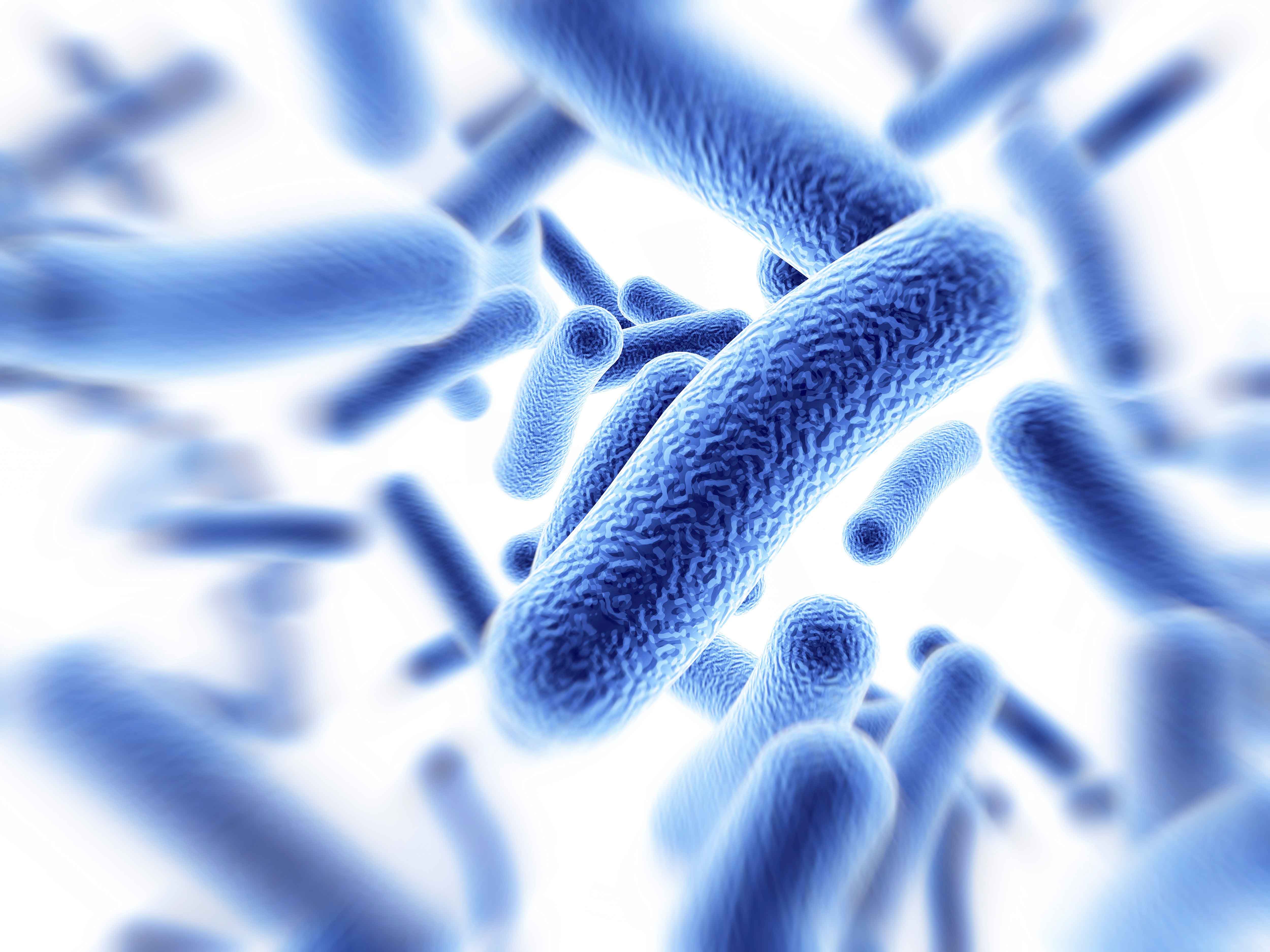Adobestock 315254024 Tuberkulose 600X450