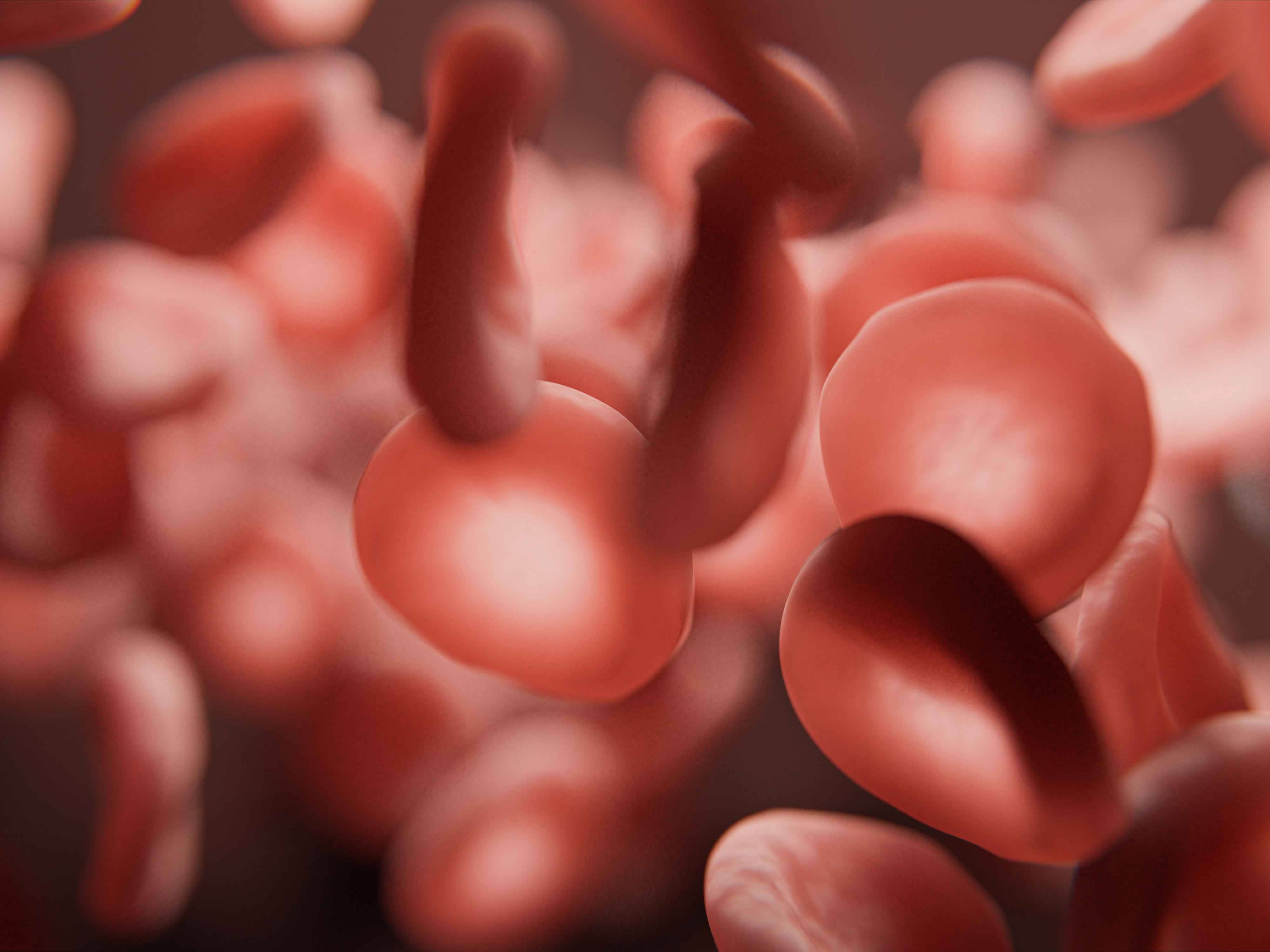 Adobestock 405088359 Hämostaseologie 600X450